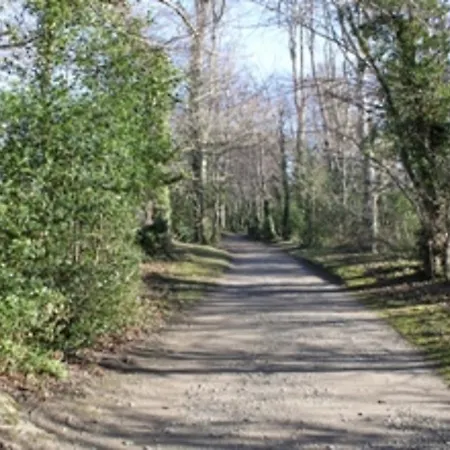 Alojamento de Acomodação e Pequeno-almoço San Juan