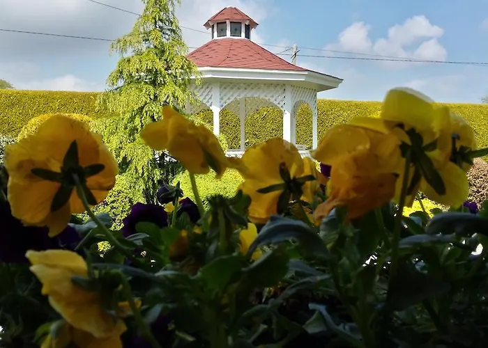 Bed & Breakfast San Juan