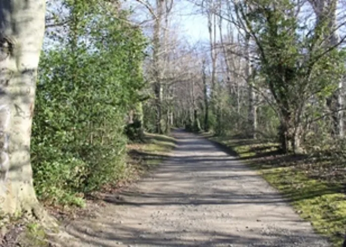 Bed & Breakfast San Juan